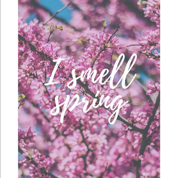 Meet your Posher, Dawn - Picture 1 of 1